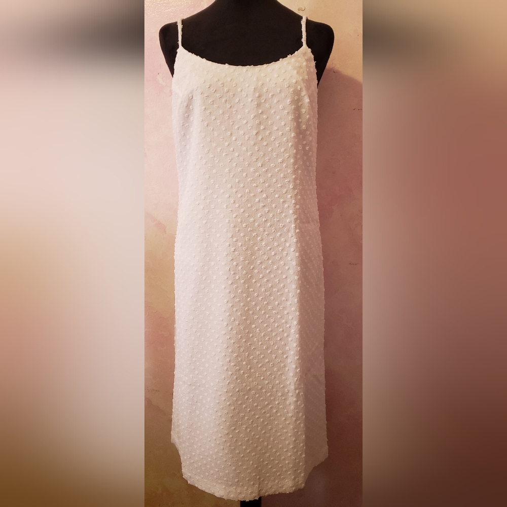 NWOT Club Monaco Ivory Sleeveless Dress